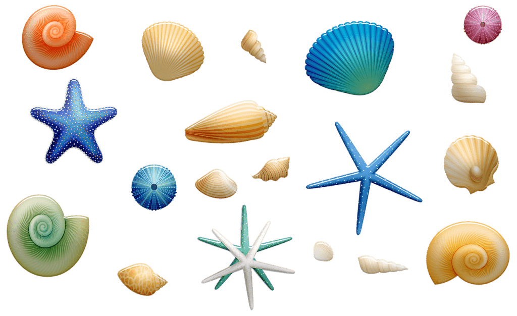 משאבה לאקווריום