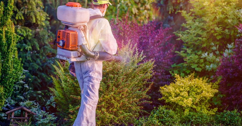 מי עומד מאחורי השירות
