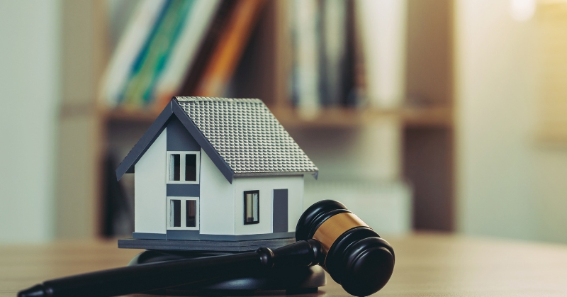 שקיפות ואחריות לאורך כל הדרך